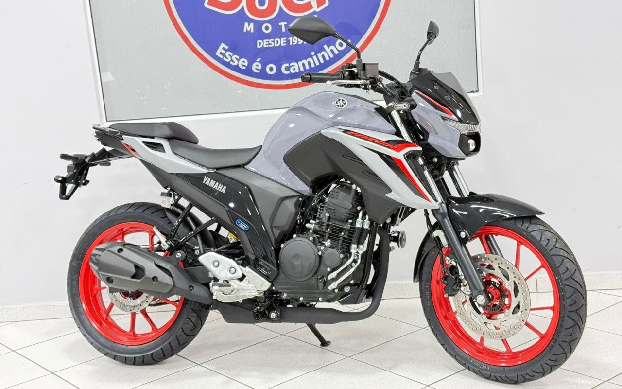 YAMAHA FZ25 250 FAZER CONNECTED  na cor Cinza em Araucária / PR - 1040389