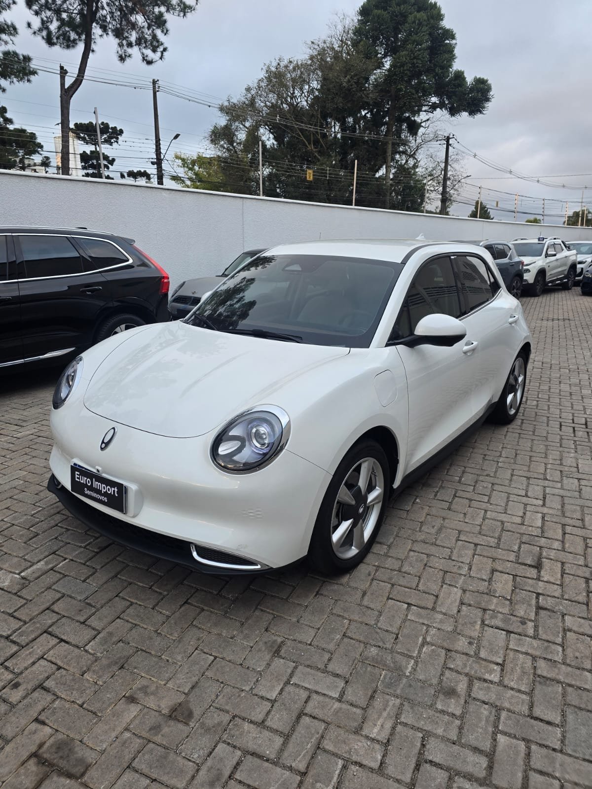 GWM Ora 03 Skin (Elétrico) na cor Branco em Curitiba / PR - 20719