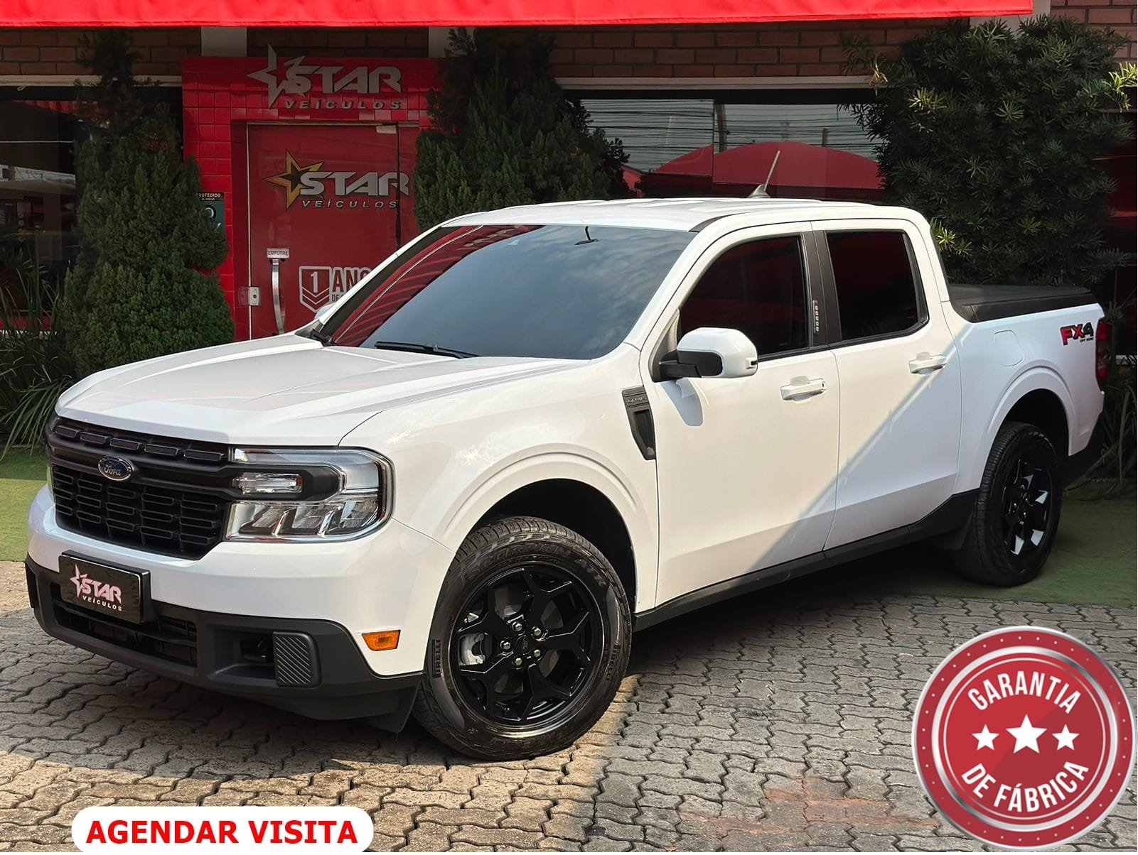 imagem de Lariat FX4 2.0 EcoBoost Aut.