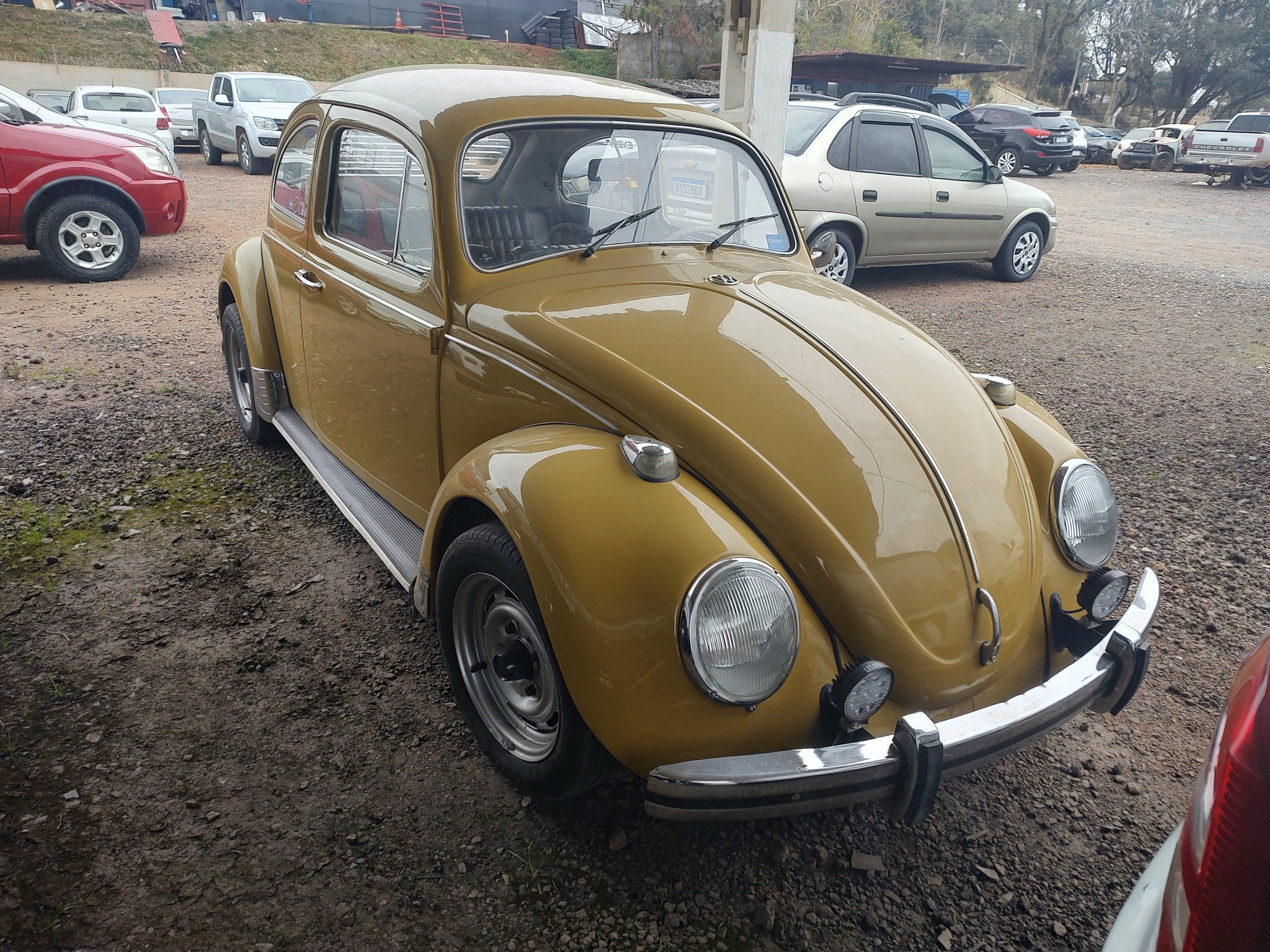 Volkswagen Fusca 1300/1300L na cor Amarelo em Campo Largo / PR - 52038