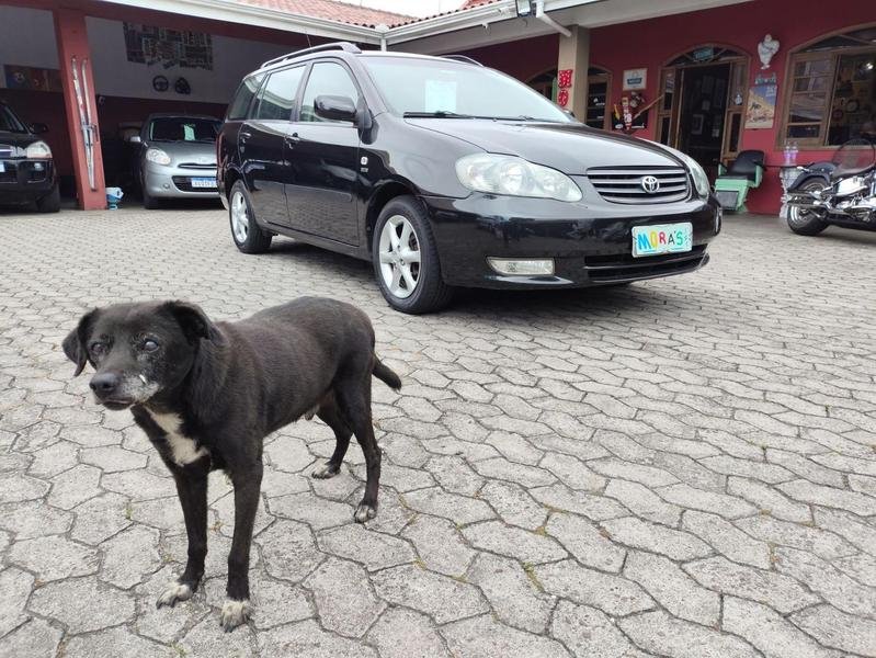 imagem de Fielder SW 1.8/1.8 XEi Flex Aut.