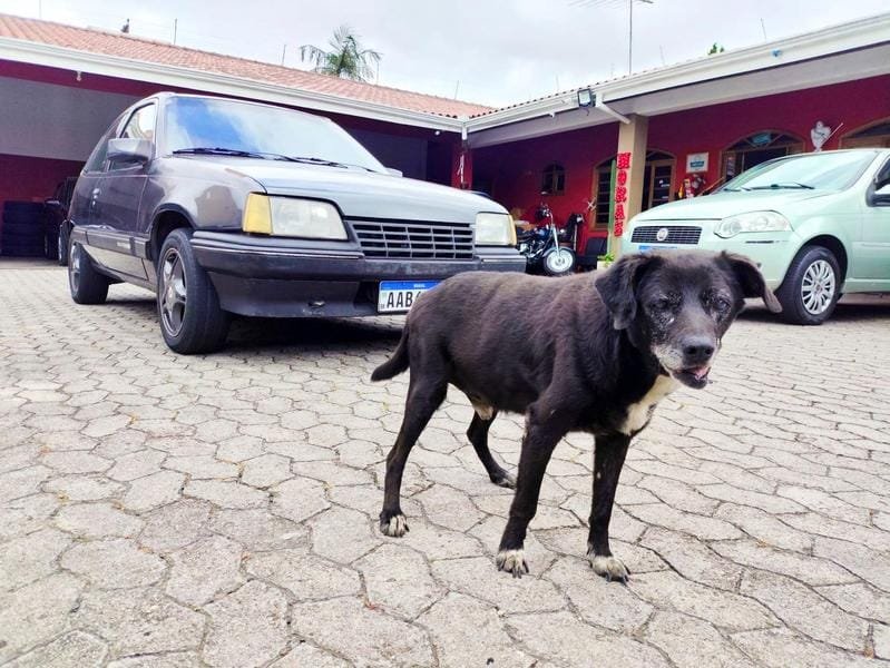 imagem de GL/SL/Lite/Turim 1.8