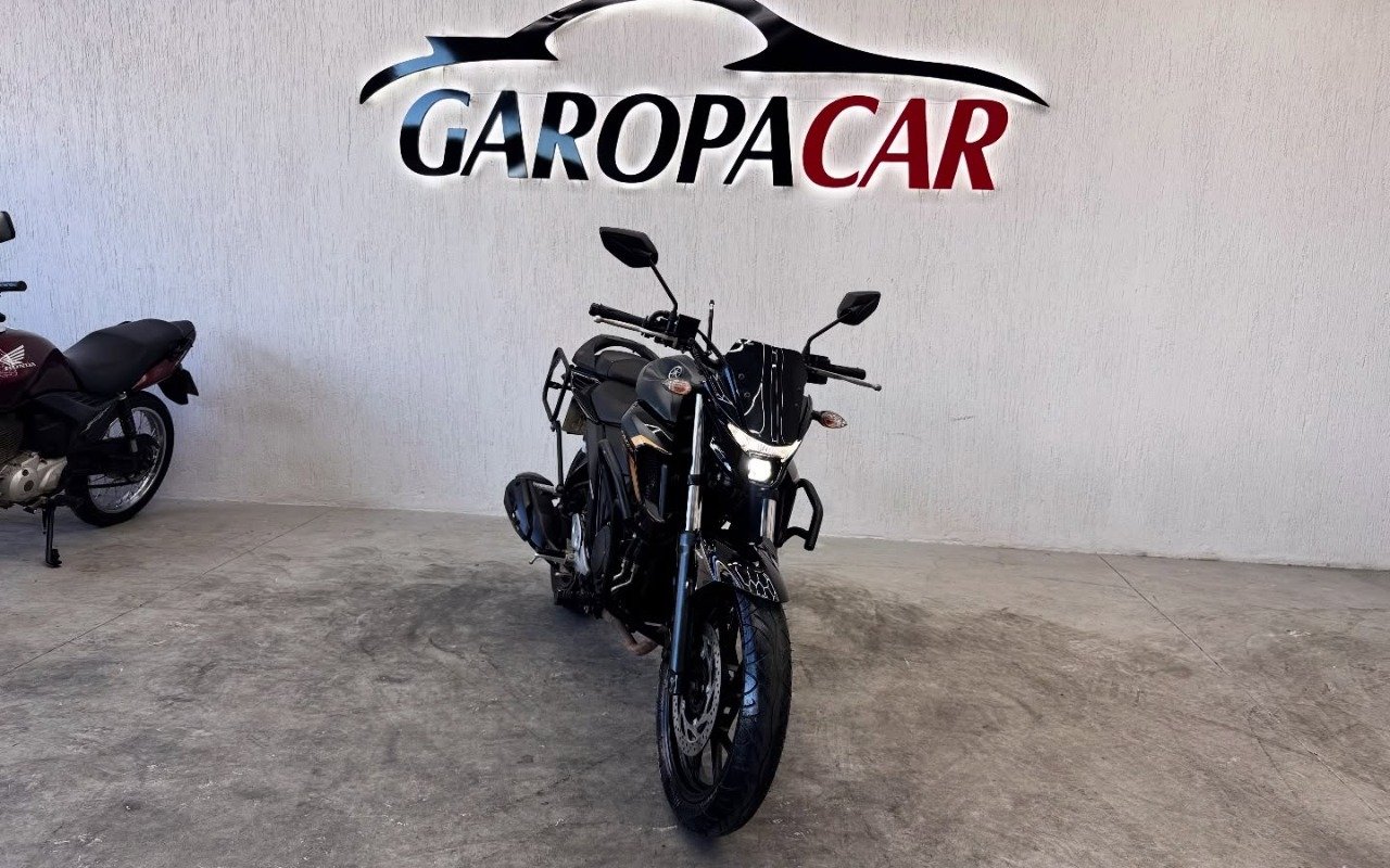 YAMAHA FZ25 250 FAZER FLEX  na cor Verde em Garopaba / SC - 774619