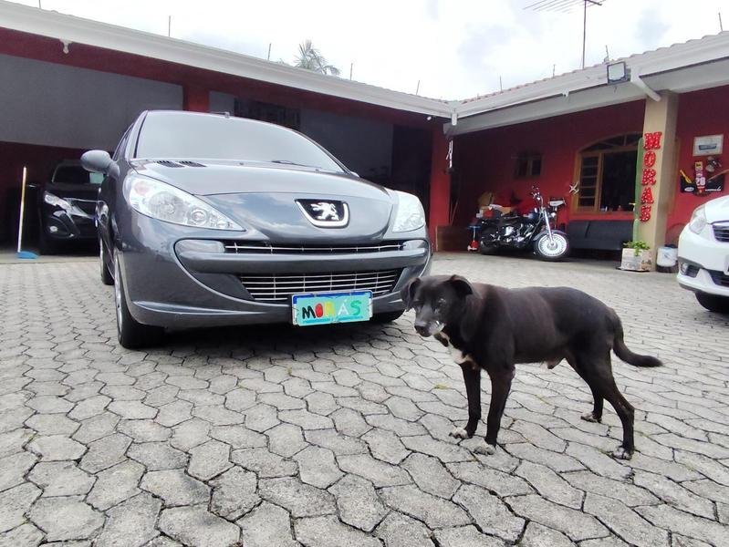 imagem de XR 1.4 Flex 8V 3p