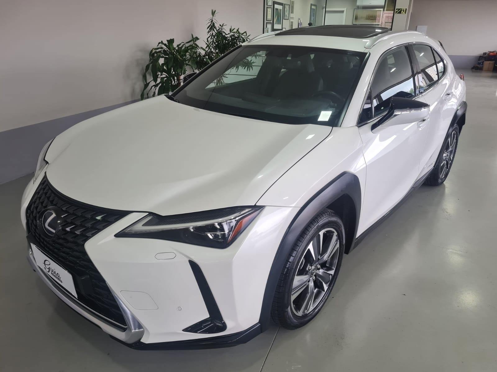 imagem de Luxury 2.0 16V Aut. (Híbrido)