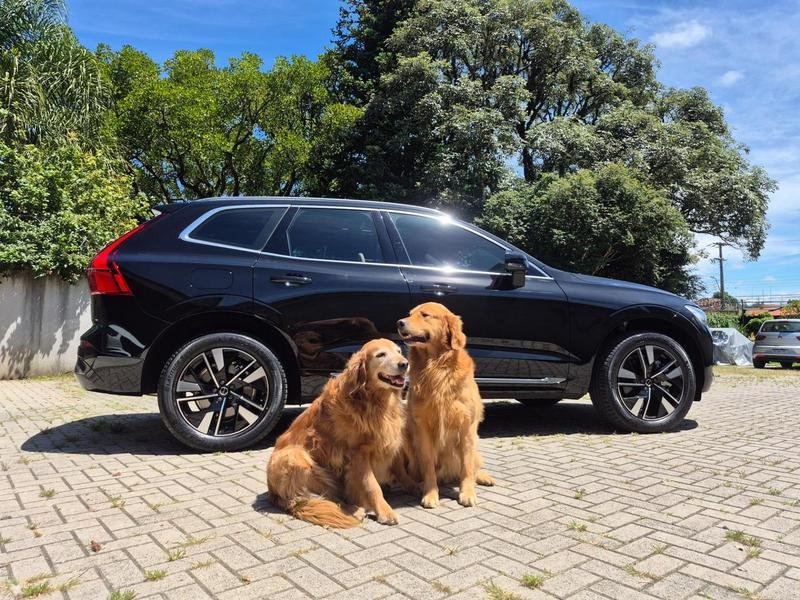 Volvo XC60 T-8 Plus 2.0 AWD (Híbrido) na cor Preto em Curitiba / PR - 818913