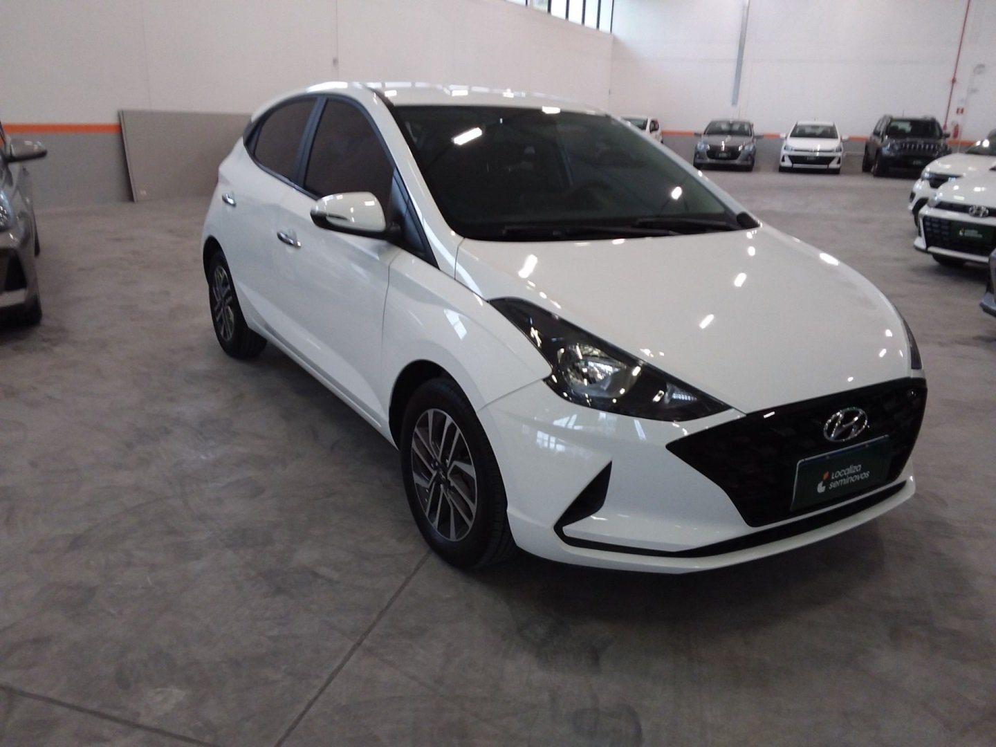 imagem de Platinum 1.0 TB Flex 12V Mec.