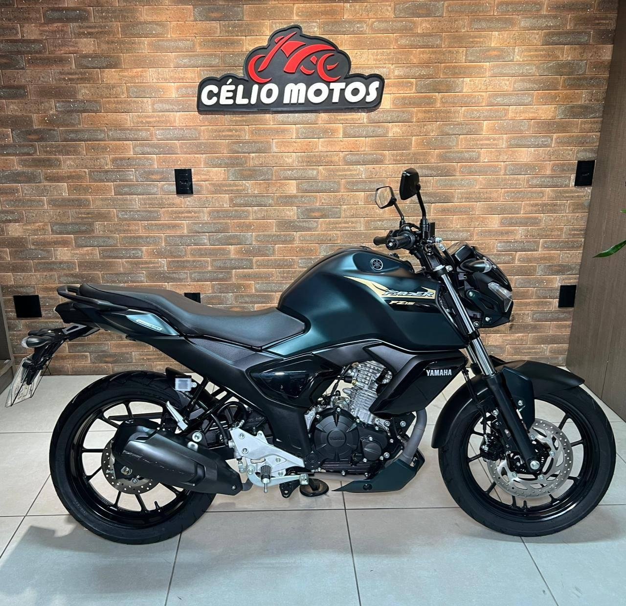 YAMAHA FZ15 150 FAZER FLEX  na cor Verde em Palhoça / SC - 869005