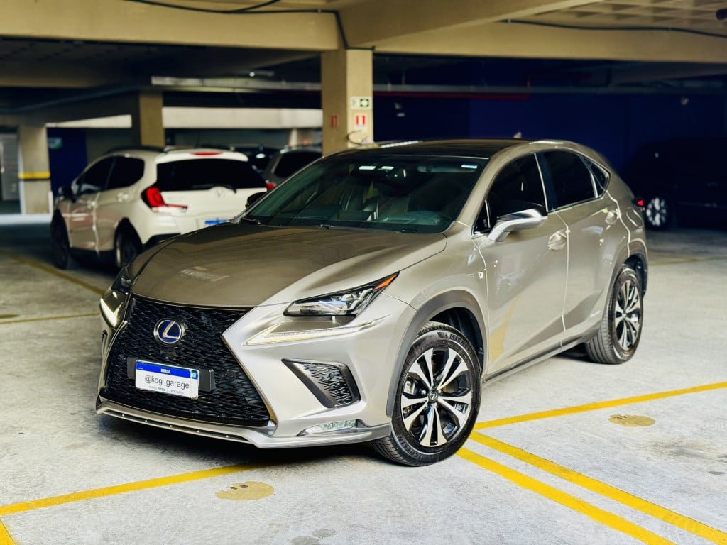Lexus NX-300h F-Sport 4x4 2.5 16V Aut. (Híb.) na cor Cinza em Curitiba / PR - 891785