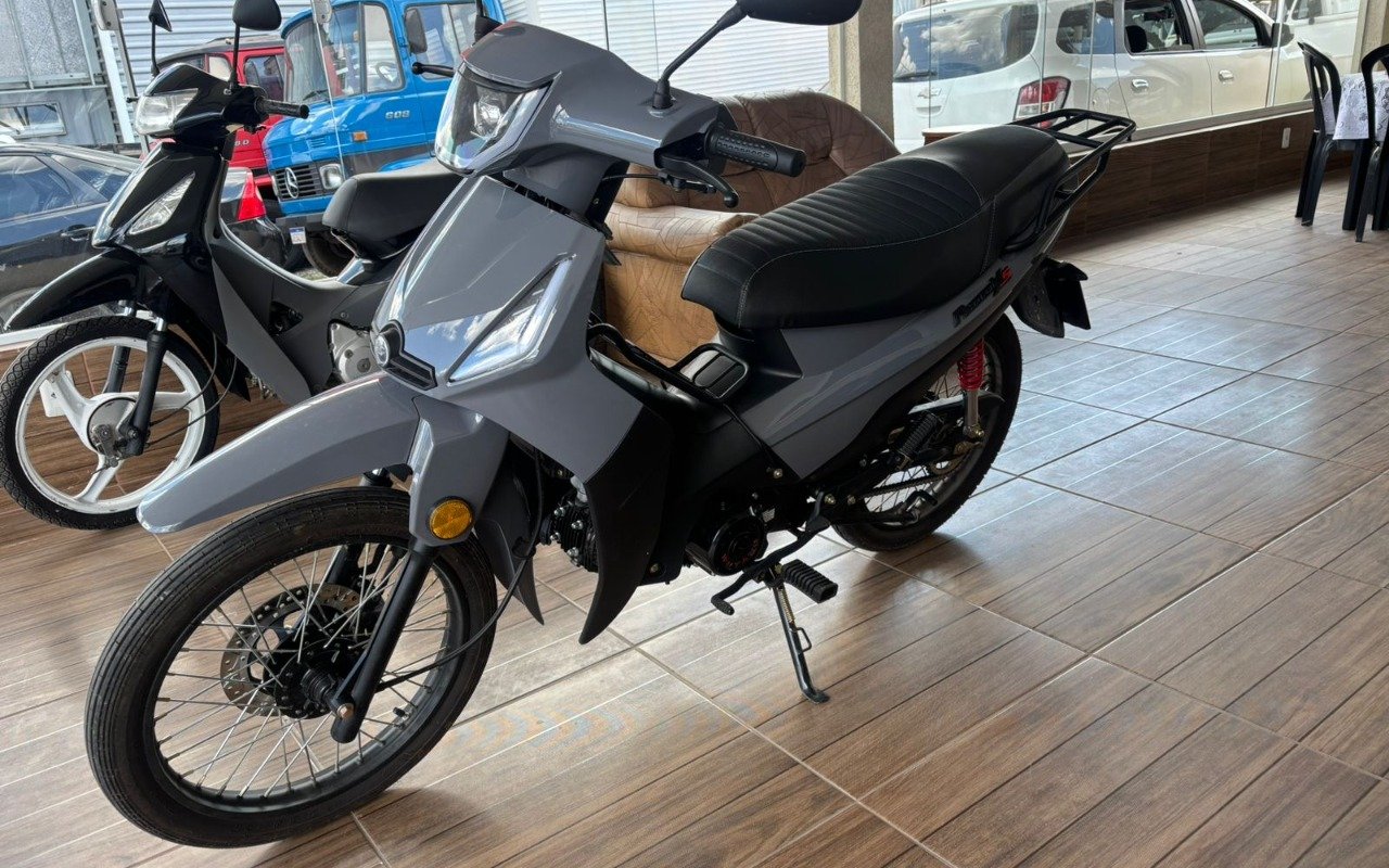 SHINERAY XY 50-Q PHOENIX S  na cor Cinza em Campo Largo / PR - 964922