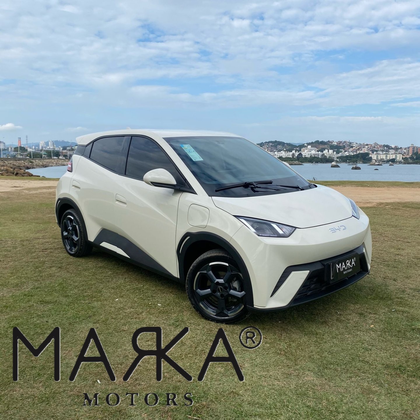 BYD Dolphin Mini (Elétrico) na cor Branco em São José / SC - 972447