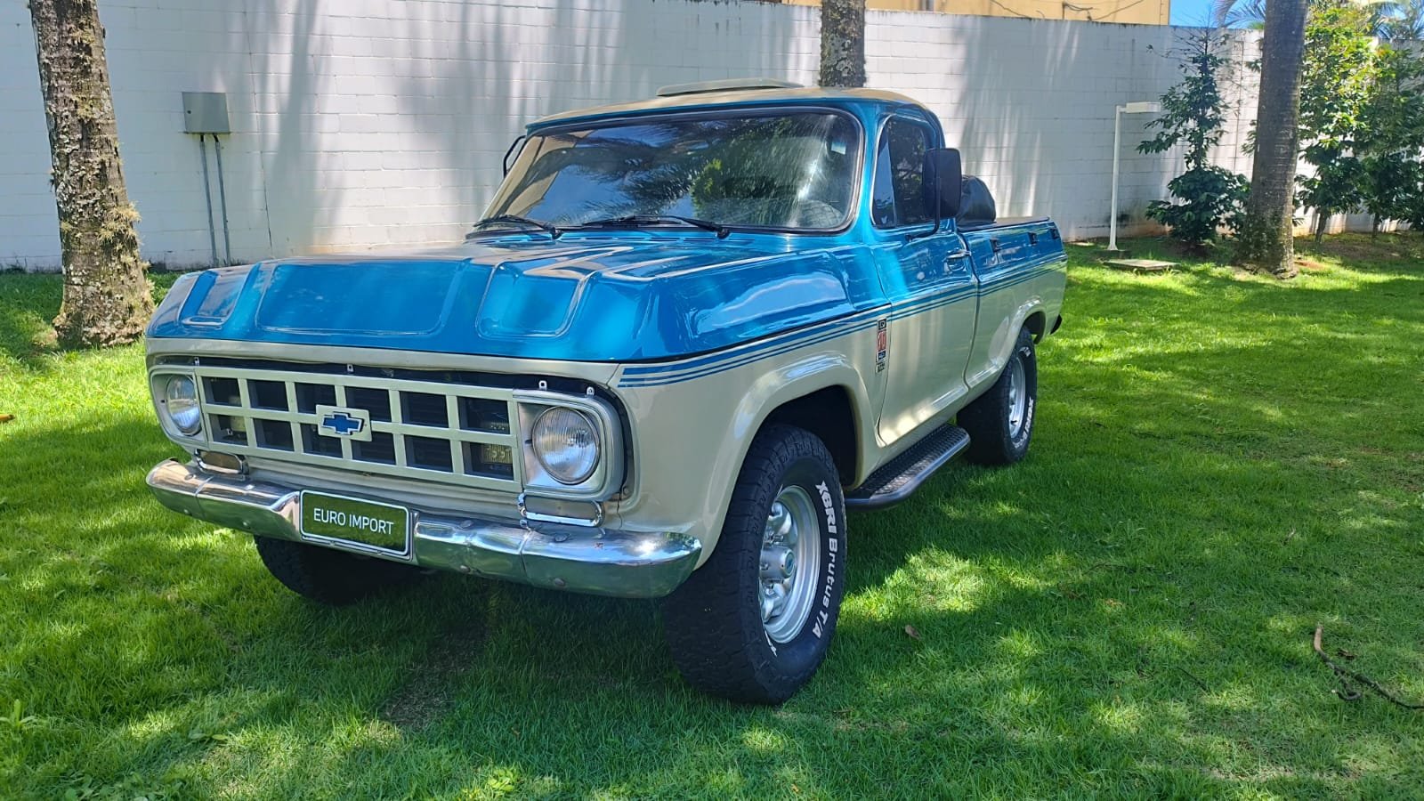 Chevrolet D-10 CD Diesel na cor Bege em Londrina / PR - 974119