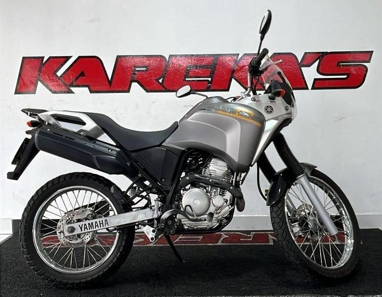YAMAHA XTZ 250 TENERE/TENERE BLUEFLEX  na cor Cinza em Curitiba / PR - 981477