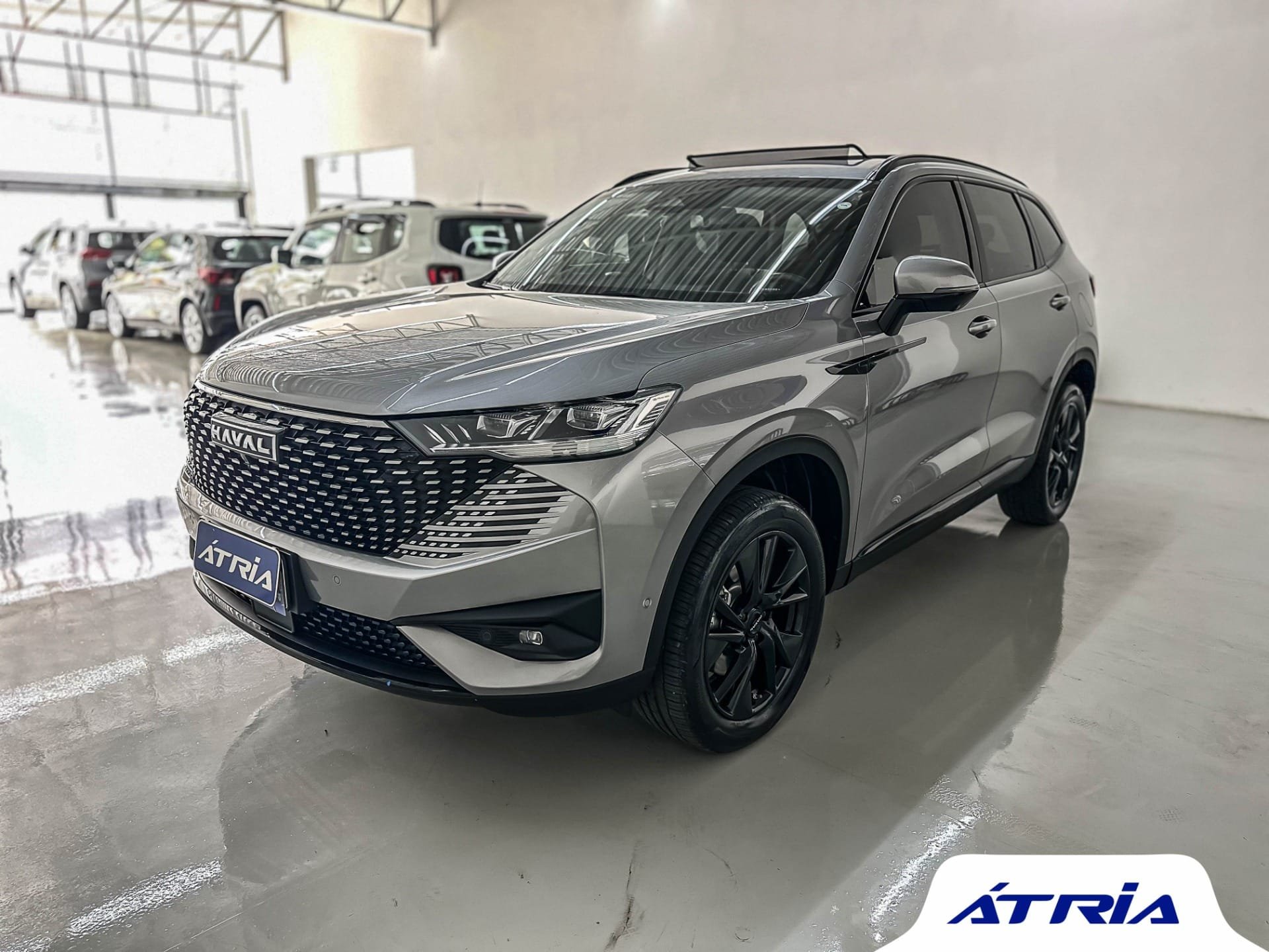 GWM Haval H6 2 1.5 (Hibrido) na cor Cinza em Campinas / SP - 9868
